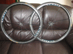20081117_050215_.GIF