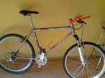 bici.jpg