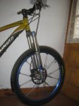 stumpy2.JPG