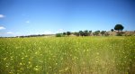 Panorama 4 (Medium).JPG