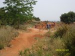 SL270811.JPG