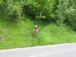 IMG_0058 (Large).JPG