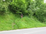 IMG_0059 (Large).JPG