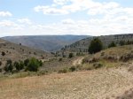 DSCN0774 (Large).JPG