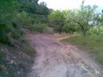 23052009(010).jpg