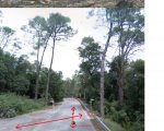 Trialera can coll 4.jpg