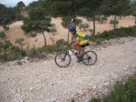 DSCF2950.JPG