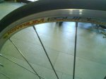 DSC01322.jpg