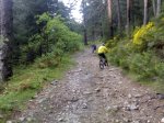 23052009598.jpg