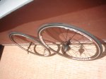 DSC00173.JPG