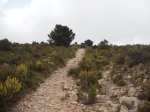 DSCF3057.JPG