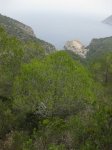 IMG_2060.jpg