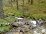 23052009517.jpg