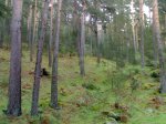 23052009518.jpg