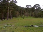 23052009525.jpg