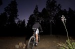 Nocturna (5 de 22).jpg