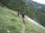 IMG_0128.jpg