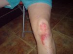 DSC01028.jpg
