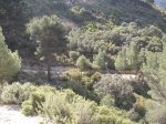DSCF3112.JPG