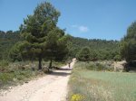 DSCF3118.JPG