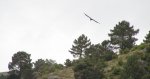 P5238526_resize.jpg