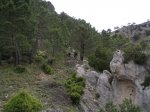 P5238536_resize.JPG