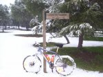 bici pintada2 3.jpg