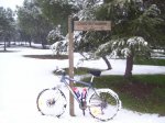 bici pintada bien 1.jpg