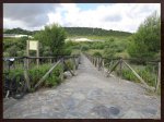 El camino a La Laguna.jpg