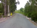24052009563.jpg