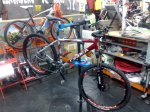 orbea1.jpg