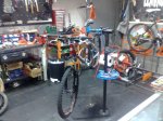 orbea2.jpg