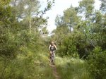 DSC02665.jpg