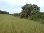 DSC02673.jpg