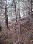 Foto 042.JPG