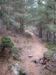 Foto 047.JPG