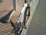 DSC00204.JPG