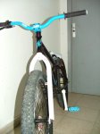 DSCF1486.jpg