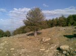 23052009(002).jpg