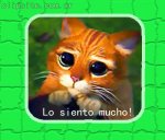 lo%20siento.jpg