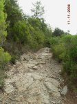 DSCN8005.JPG