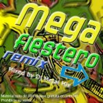 Mega_fiestero_remix[1].jpg