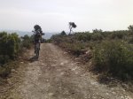 23052009489.jpg