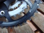 DSC05750.jpg