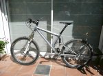 colometa1w.JPG