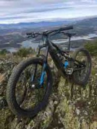 gokulin