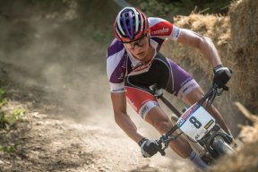 pedaleayvive