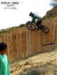 gavilan22