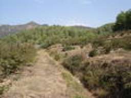 frenosypedales