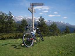 YettiBasque